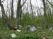 2009-04-18 Monte Sterparo 0153