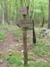 2009-04-18 Monte Sterparo 0191
