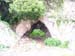 2009-04-18 Monte Sterparo 0206