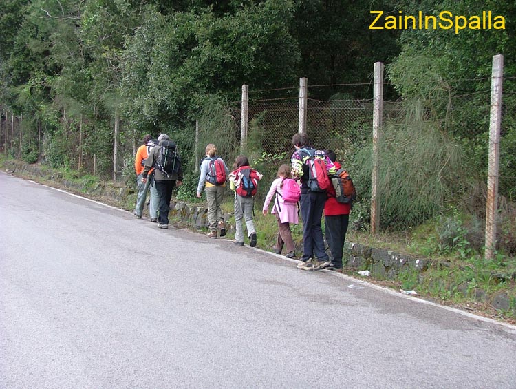 2009-05-01Monte Somma 0005