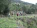 2009-05-01Monte Somma 0023