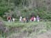 2009-05-01Monte Somma 0033