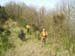 2009-05-01Monte Somma 0085