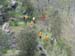 2009-05-01Monte Somma 0105