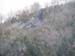 2009-05-01Monte Somma 0128
