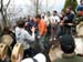 2009-05-01Monte Somma 0272