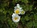2009-04-16 17 Anello Monte Velino 0023
