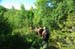 2009-06-13 Monte Velino 054
