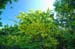 2009-06-13 Monte Velino 112