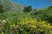 2009-06-13 Monte Velino 140