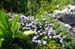 2009-06-13 Monte Velino 152
