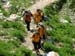 2009-06-13 Monte Velino 175