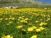 2009-06-13 Monte Velino 319
