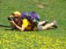2009-06-13 Monte Velino 338
