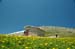 2009-06-13 Monte Velino 339