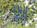 2009-06-13 Monte Velino 355