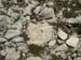 2009-06-13 Monte Velino 473
