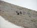 2009-06-13 Monte Velino 566