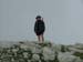 2009-06-13 Monte Velino 581