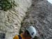 2009-07-10 Ferrata degli Alpini 0020