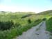 2009-07-11 Monte Cimone 0057