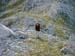 2009-09-19 A Ovest del GranSasso 0014