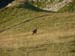 2009-09-19 A Ovest del GranSasso 0016