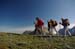 2009-09-19 A Ovest del GranSasso 0045