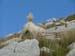 2009-09-19 A Ovest del GranSasso 0058