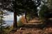 2009-11-14 Eremo di San Benedetto 0142
