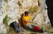 2009-11-14 Eremo di San Benedetto 0374