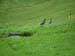 2010-07-12 Rifugio la Crusc 116