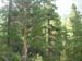 2010-07-13 Col de Locia 028