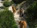 2010-07-13 Col de Locia 100