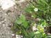 2010-07-13 Col de Locia 180