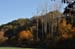 2010-10-30 Pisoniano-Mentorella 0050