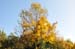 2010-10-30 Pisoniano-Mentorella 0130