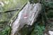 2010-10-30 Pisoniano-Mentorella 0146