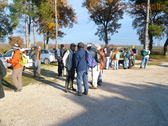 2010-12-11 La via Amerina 0004