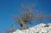 2011-02-19 Monte Gennaro da Palombara 0073