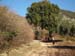 2011-02-19 Monte Gennaro da Palombara 0103