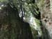 2011-03-12 Monterano 0101