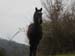 2011-03-12 Monterano 0200