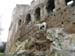 2011-03-12 Monterano 0225