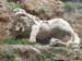 2011-03-12 Monterano 0226