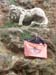 2011-03-12 Monterano 0239