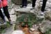 2011-03-12 Monterano 0509