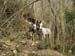 2011-03-12 Monterano 0552