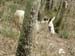 2011-03-12 Monterano 0569