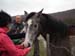 2011-03-12 Monterano 0747